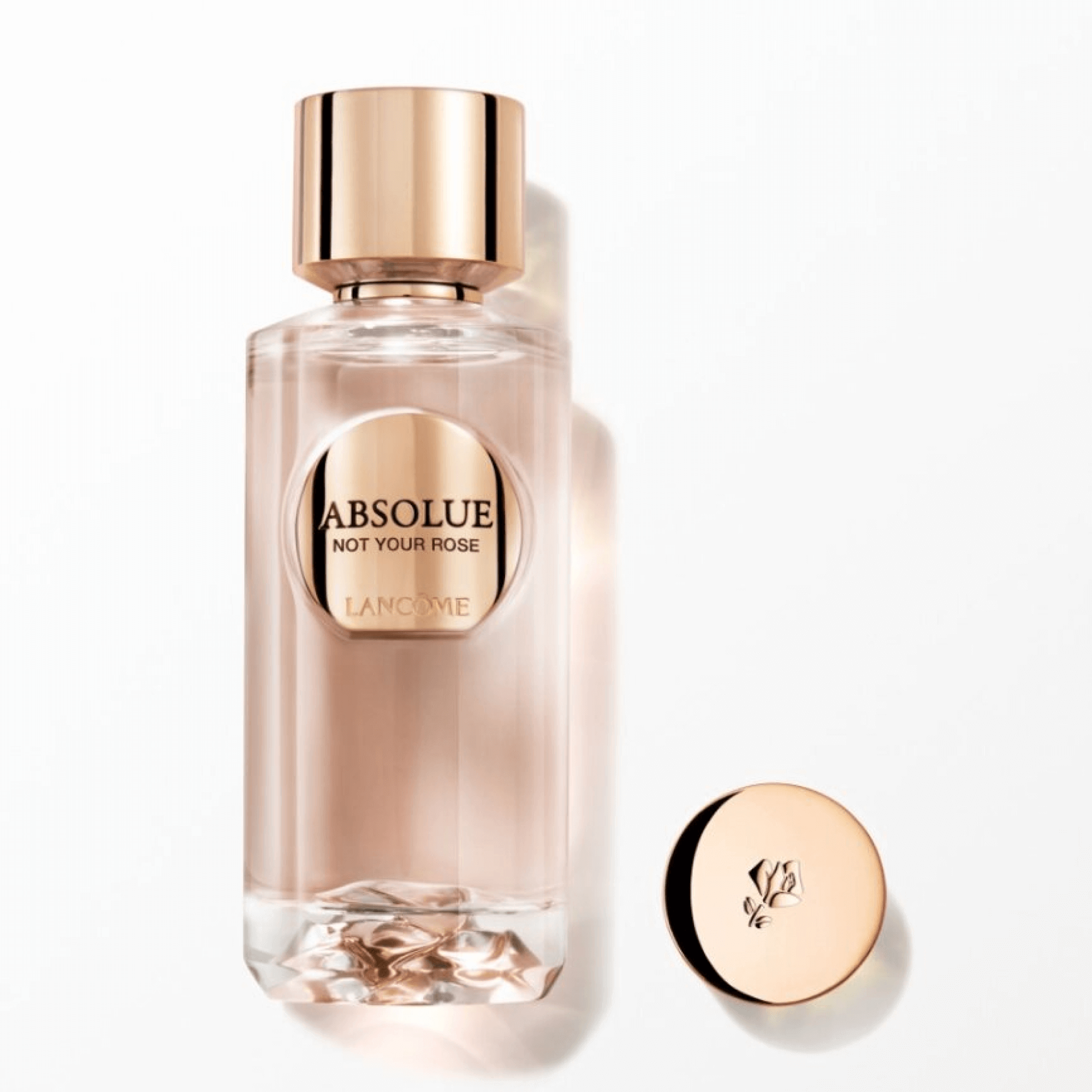 Not Your Rose - 100 ml