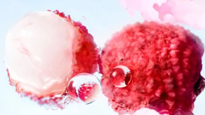 [ingredient visual - cropping on lychees]
