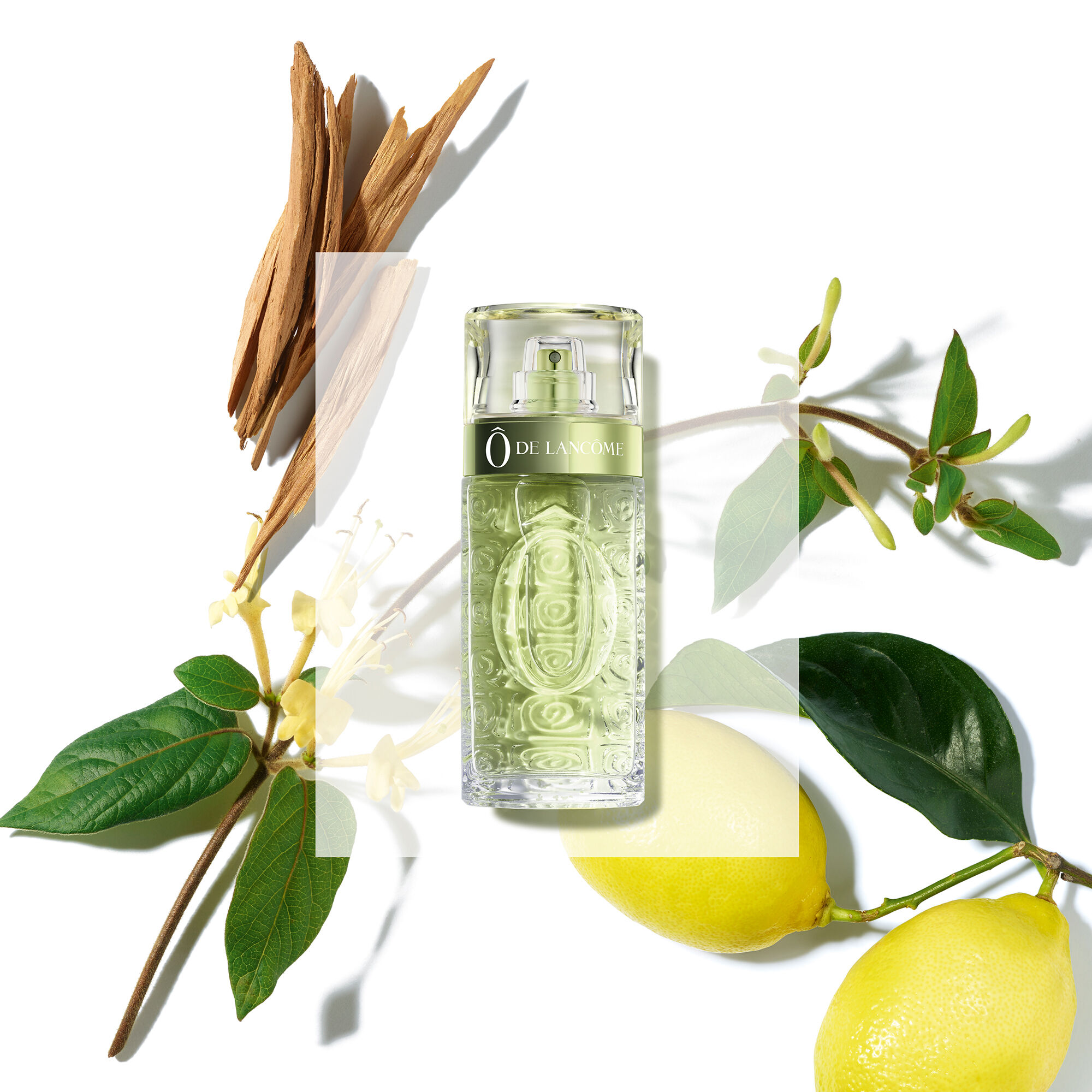 O de lancome perfume discount 125ml