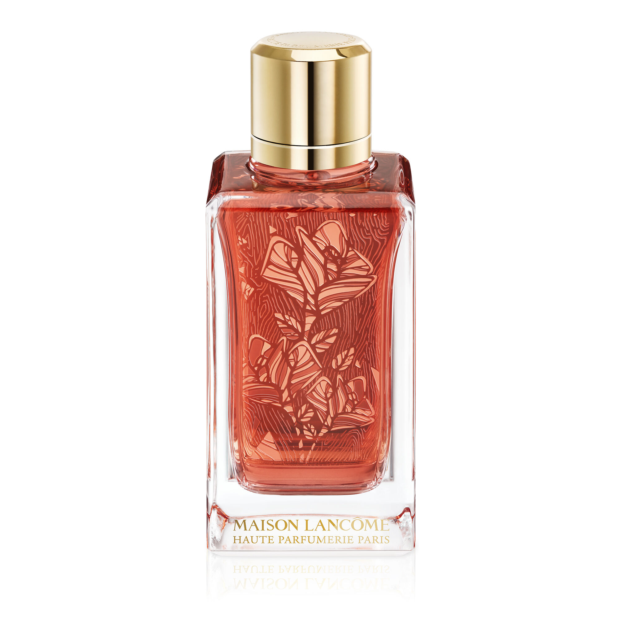 lancome rose berberanza