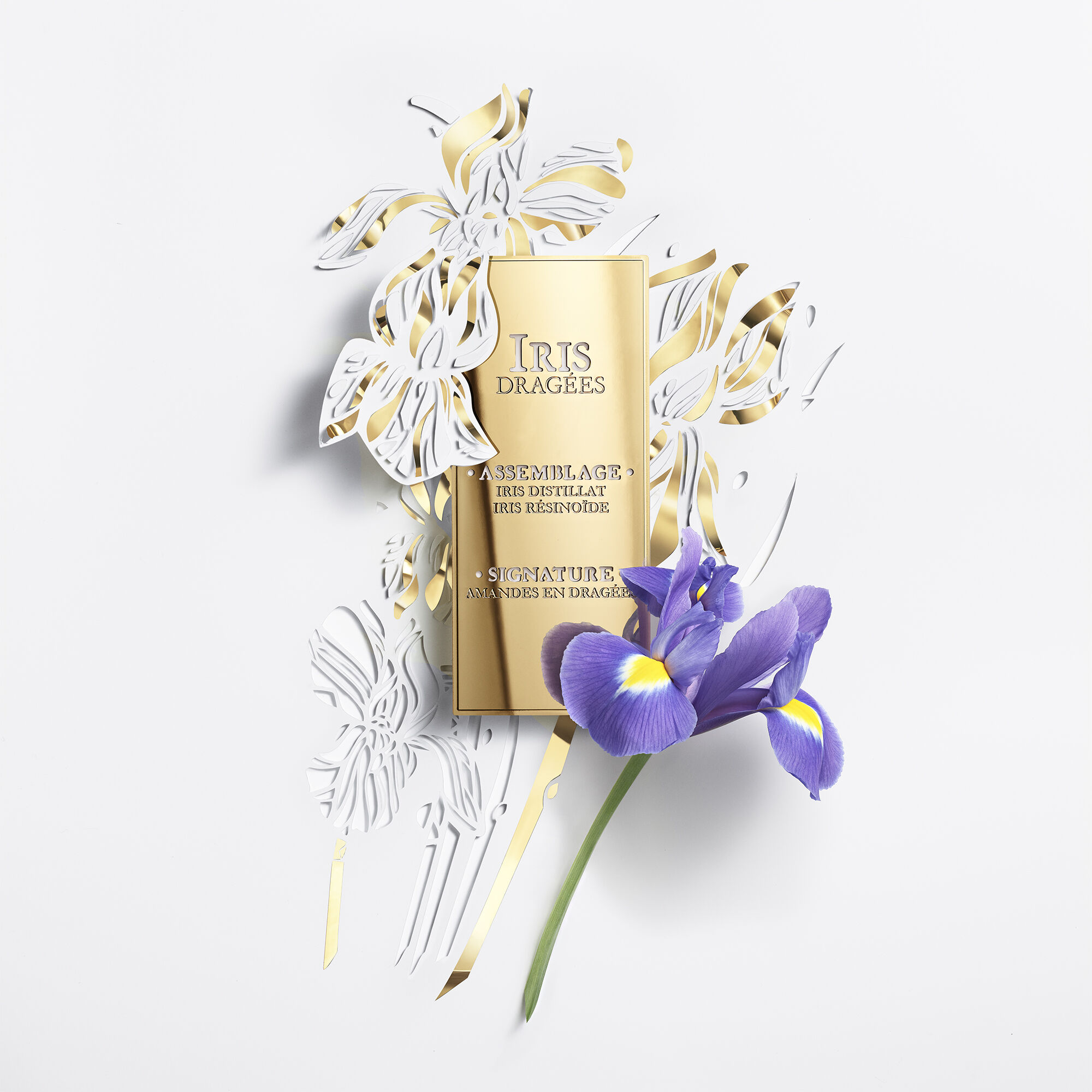 Iris Dragées Eau De Parfum |Exclusive Iris Dragées Eau De Parfum |Exclusive