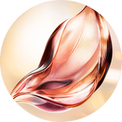 EXCLUSIVE & PATENTED ABSOLUE PERPETUAL ROSE MOLECULAR FRACTIONS™