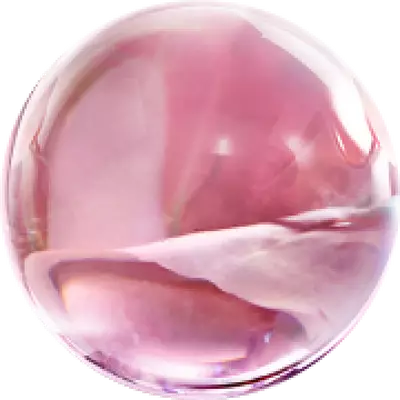 CENTIFOLIA ROSE EXTRACT