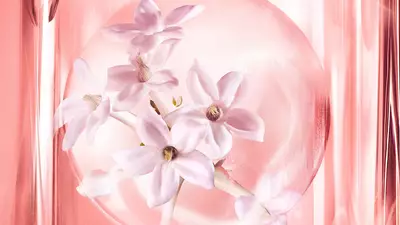 JASMINE ABSOLUTE SUPER INFUSION
