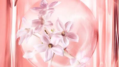 JASMINE ABSOLUTE SUPER INFUSION