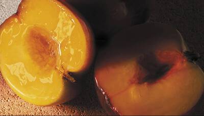 A BRIGHT JUICY PEACH