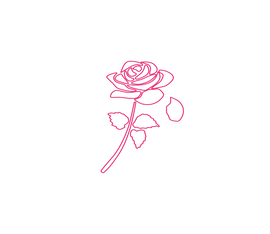 A simple line drawing of a rose in pink on a black background, with one petal falling off.