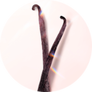 Two vanilla bean pods arranged elegantly against a soft pink background.