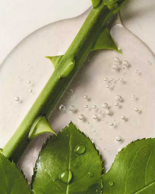 Lancome green extraction