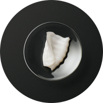A transparent glass dish containing a single, elegant seashell resting on a dark surface.