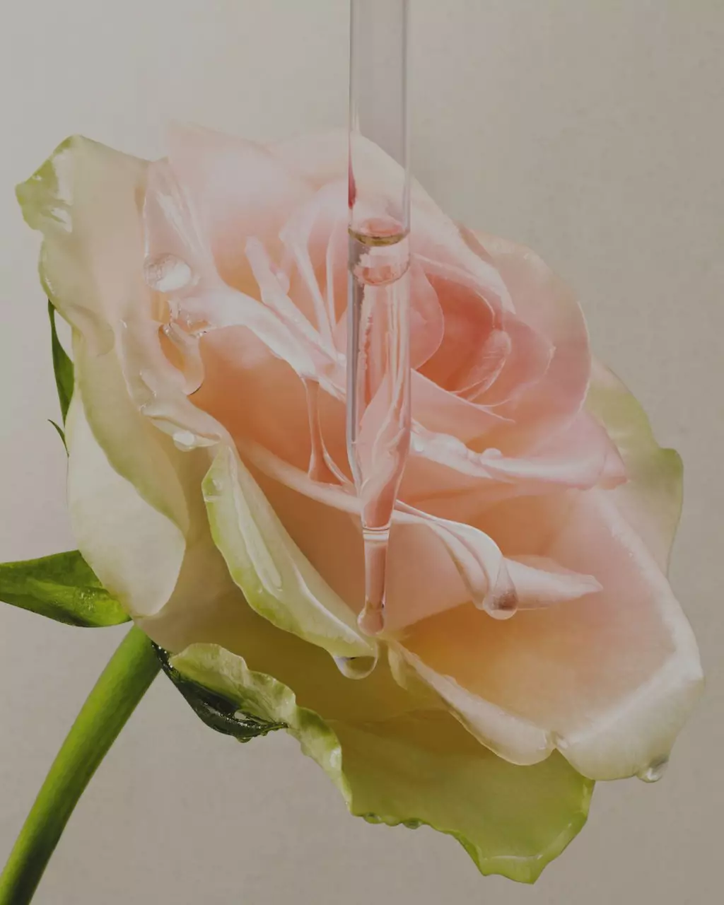 Lancome's Commitments