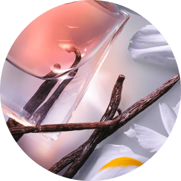 A close-up of a perfume bottle with pink liquid, surrounded by vanilla sticks and delicate white petals.