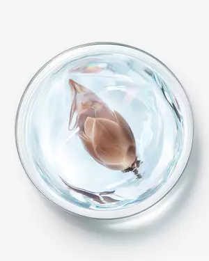 Illustration for advanced skincare science