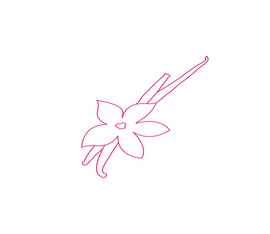 A simple, stylized line drawing of a flower with elongated petals and a slender stem, outlined in bright pink against a black background.