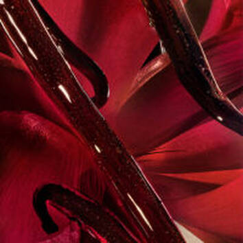 Close-up of deep red flower petals intertwined with glossy, dark tendrils, creating an abstract and vibrant composition.