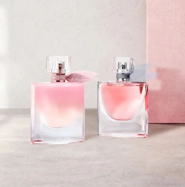 absolue beauty visual for new illustration