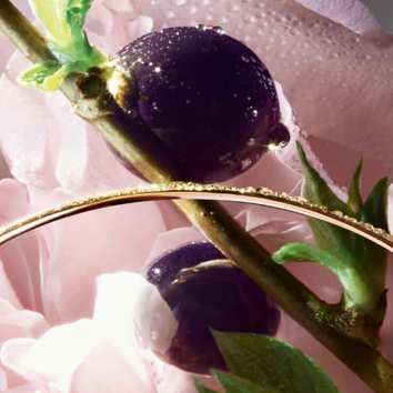 Close-up of a purple fruit on a delicate flower stem, glistening with droplets and surrounded by soft pink petals.